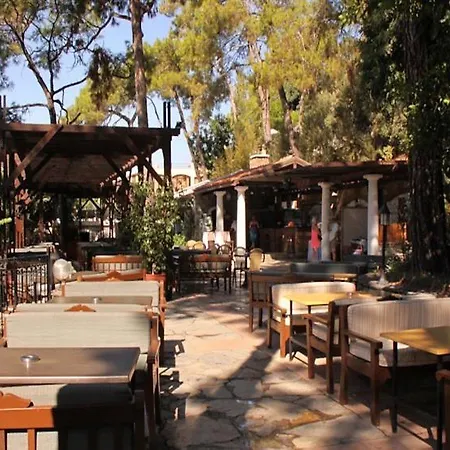 Club Bellamare ホテル マルマリス