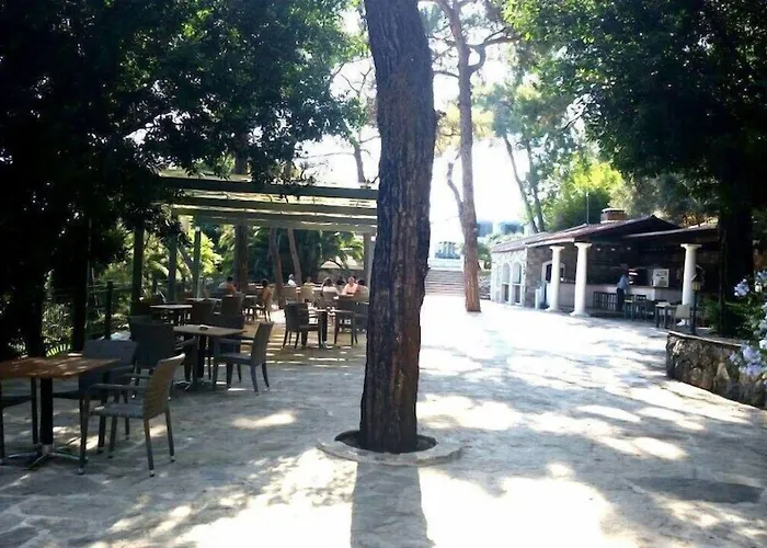 Club Bellamare